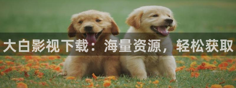 斑马888：大白影视下载：海量资源，轻松获取