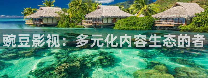 斑马下载：豌豆影视：多元化内容生态的者