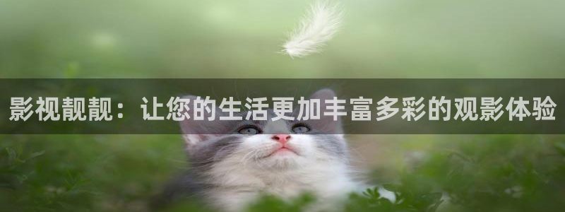 斑马电影街免费完整版：影视靓靓：让您的生活更加丰富多彩的观影体验