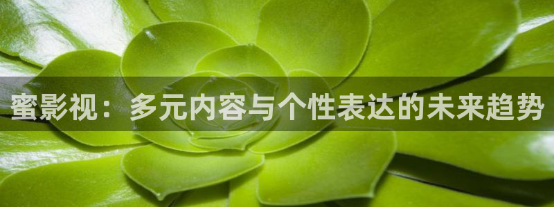 斑马 jjs2：蜜影视：多元内容与个性表达的未来趋势