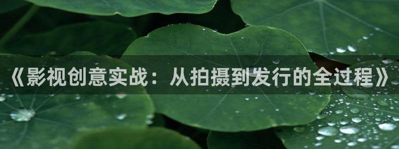 马斑马：《影视创意实战：从拍摄到发行的全过程》
