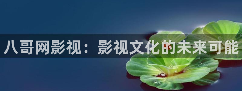 斑马ls1203：八哥网影视：影视文化的未来可能