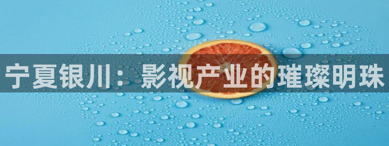 斑马ds3678：宁夏银川：影视产业的璀璨明珠