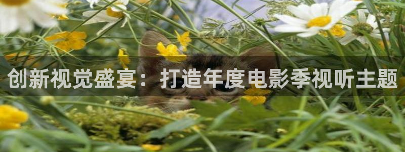 斑马公司怎么样：创新视觉盛宴：打造年度电影季视听主题