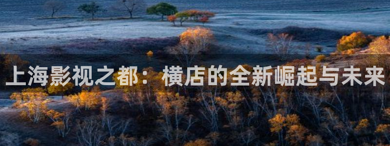 斑马 电影：上海影视之都：横店的全新崛起与未来