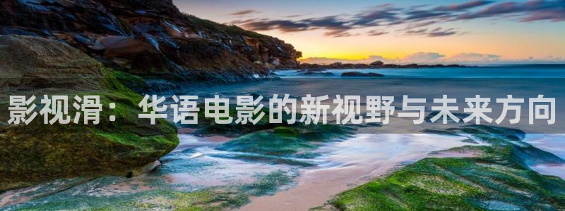 斑马ds8178：影视滑：华语电影的新视野与未来方向