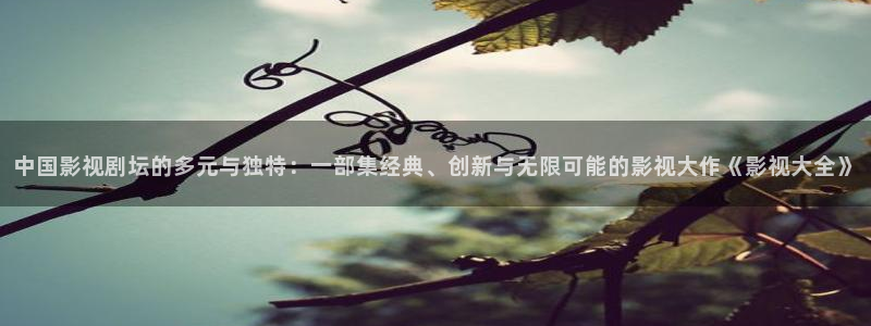 斑马电影街在线完整：中国影视剧坛的多元与独特：一部集经典、创新与无限可能的影视大作《影视大全》